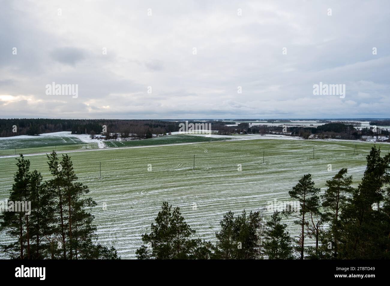 Une étreinte aérienne de l'hiver : les vastes plaines enneigées de Zemgale se déploient en contrebas des hauteurs de la tour de guet de Tervetes Dabas Parks. Une vue sereine à Latvija' Banque D'Images