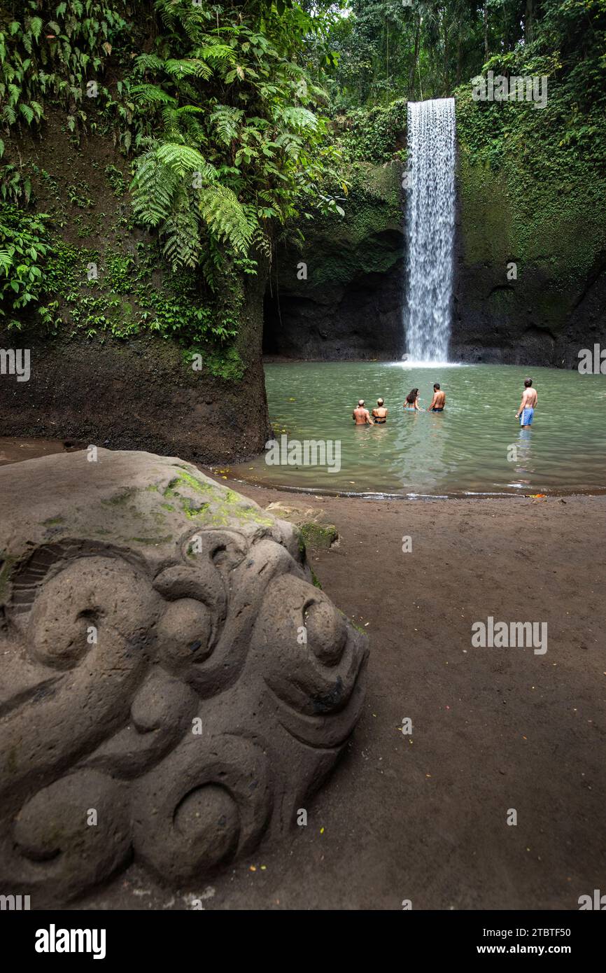 Tibumana Waterfall, une petite cascade large dans une gorge verte, la rivière se jette dans une piscine au milieu de la forêt, destination d'excursion près d'Ubud, Bali Banque D'Images