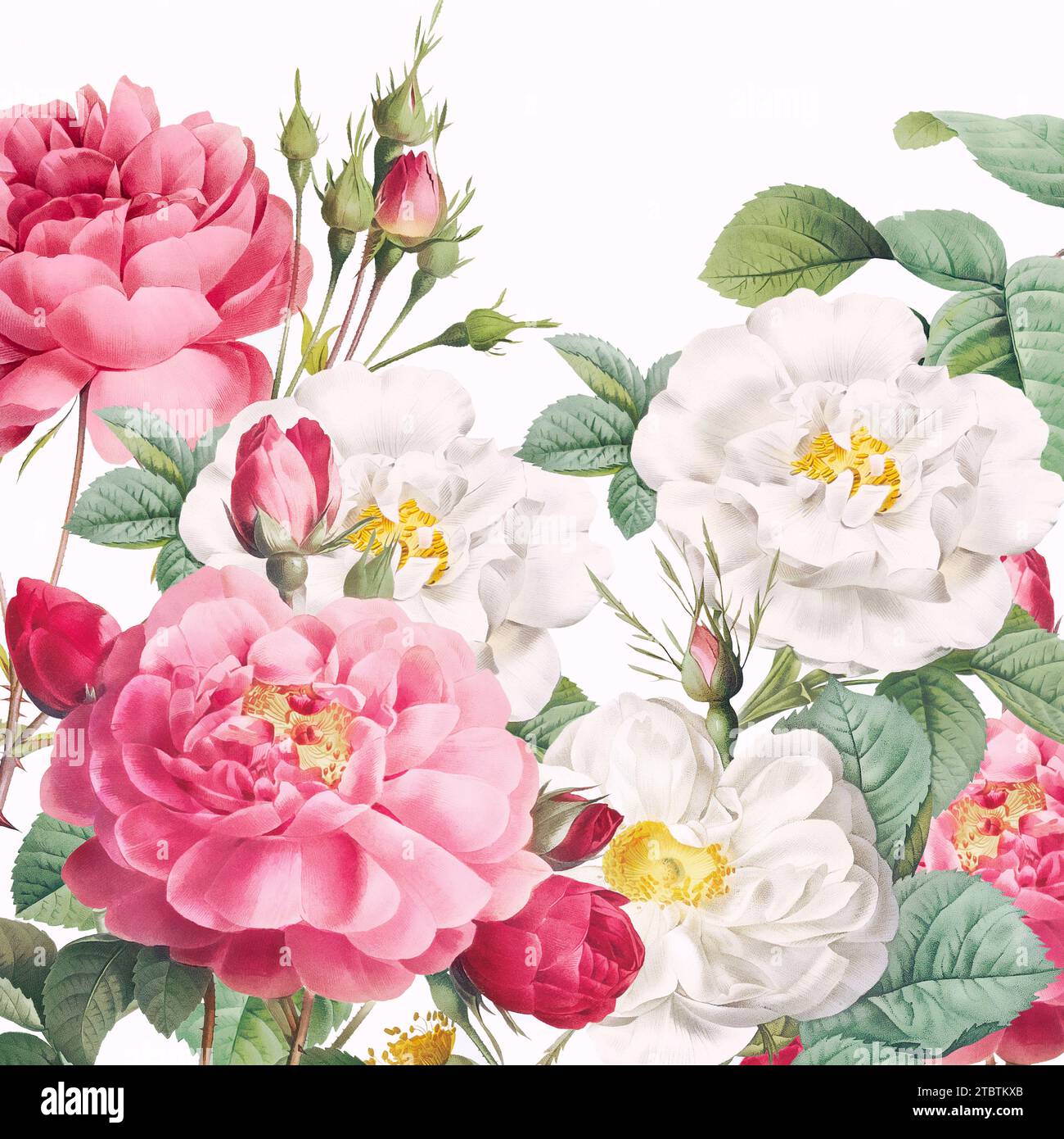 Fleurs roses . Motif floral dans un format carré. Vibes d'aquarelle florale numérique sur fond beige texturé. Charme rustique avec des couleurs vives. Banque D'Images