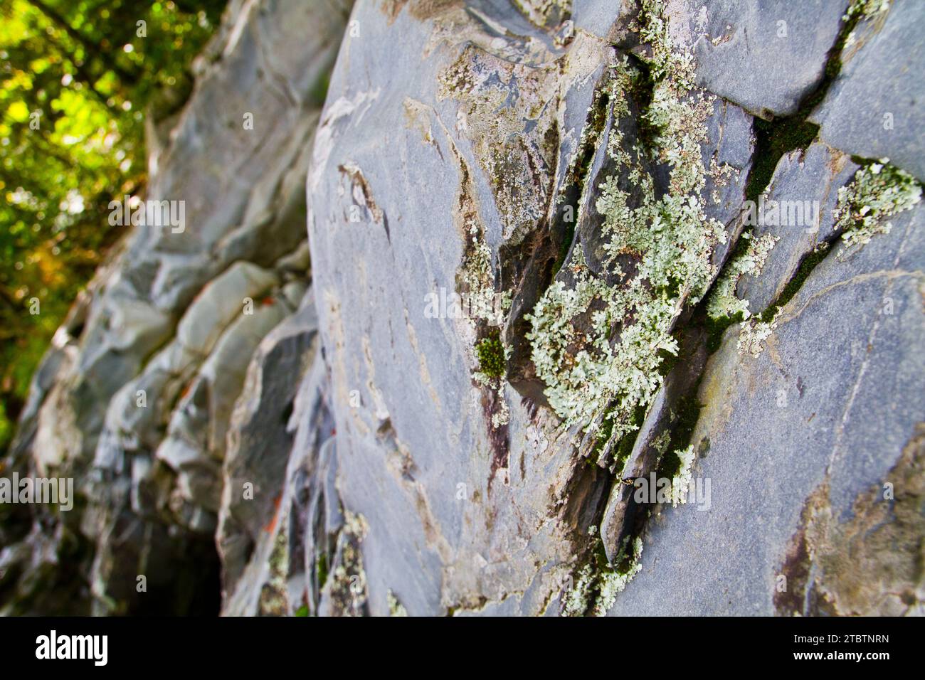 Vue rapprochée de Lichen sur la paroi rocheuse accidentée dans un cadre extérieur naturel Banque D'Images