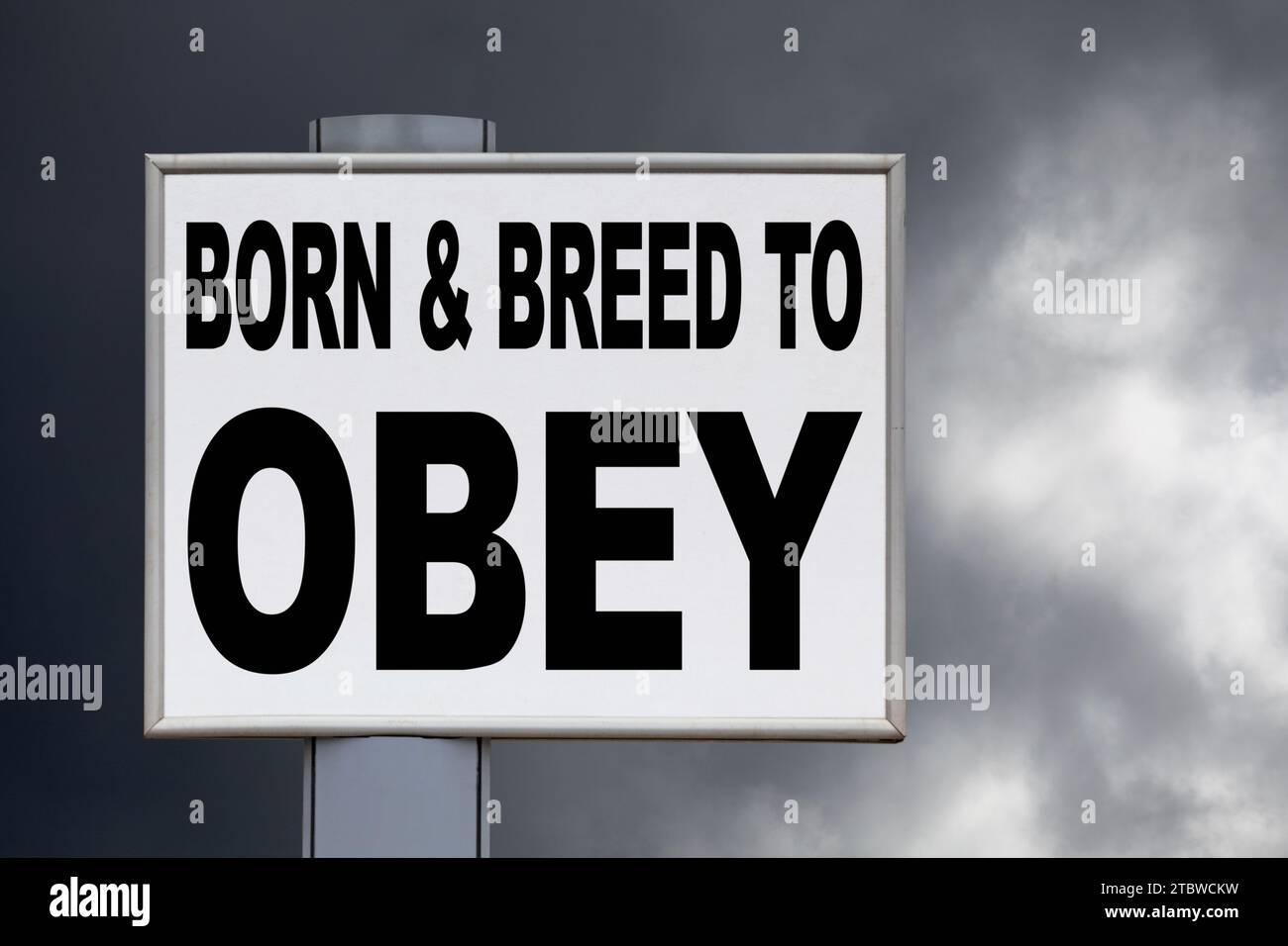 Gros plan sur un panneau d'affichage rouge sur un ciel nuageux avec le message « Born & Breed to Obey » écrit au milieu à côté d'une icône en forme d'œil. Banque D'Images Gros plan sur un panneau d'affichage rouge sur un ciel nuageux avec le message « Born & Breed to Obey » écrit au milieu à côté d'une icône en forme d'œil. Banque D'Images