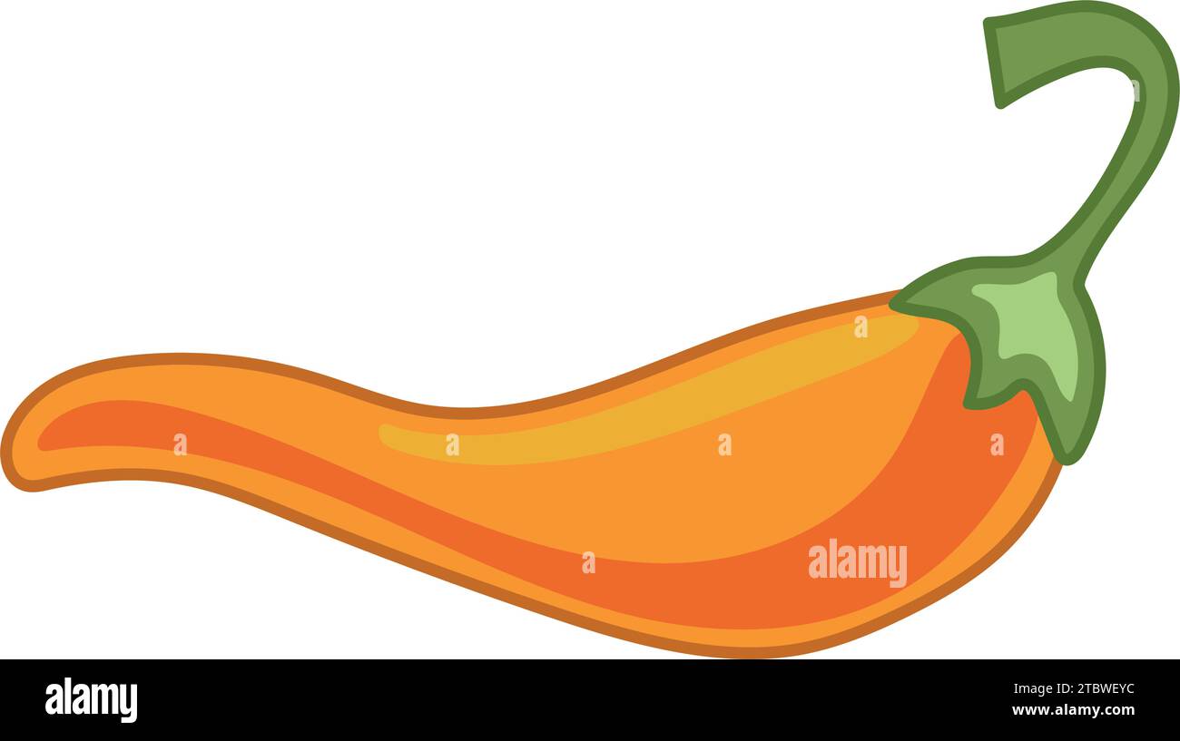 vecteur d'illustration de piment orange isolé Illustration de Vecteur