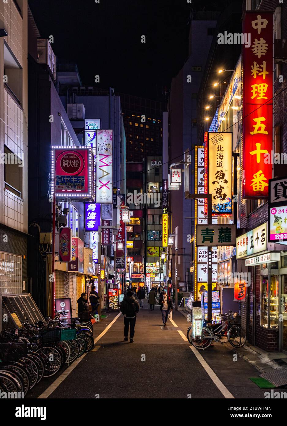 Une photo des rues de Kabukicho, dans la ville de Shinjuku (Tokyo), la nuit Banque D'Images