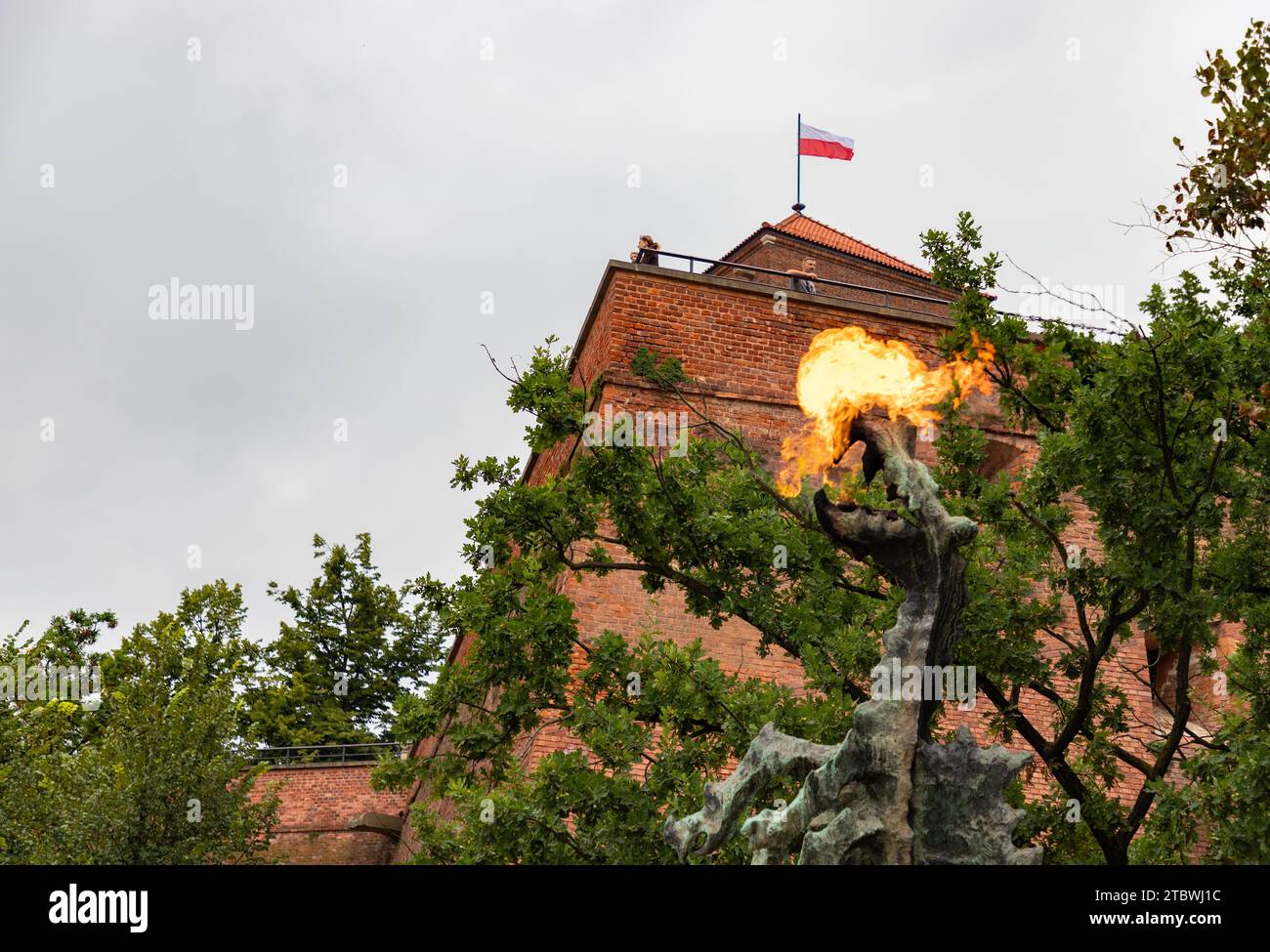 Une photo de l'emblématique Dragon du Wawel crachant du feu (Cracovie) Banque D'Images
