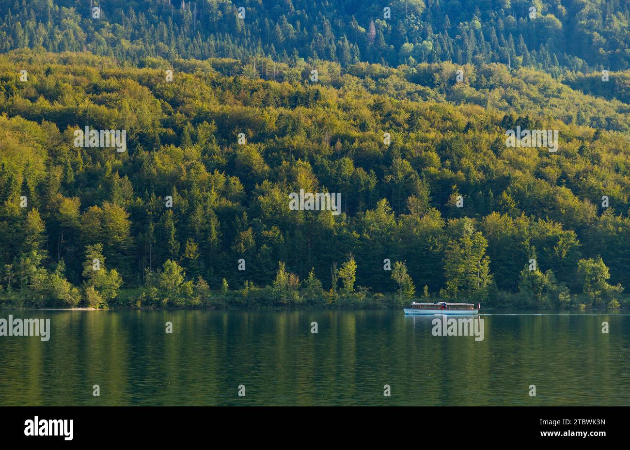 Une photo d'un bateau sur le lac Bohinj Banque D'Images
