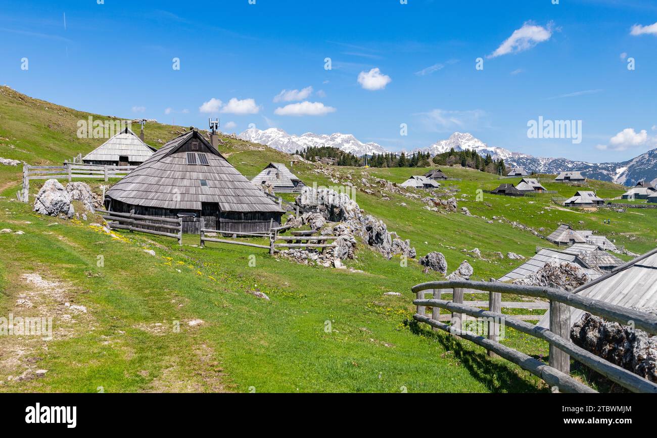 Une photo en gros plan de l'une des huttes d'éleveurs de Velika Planina, ou plateau de Big Pasture Banque D'Images