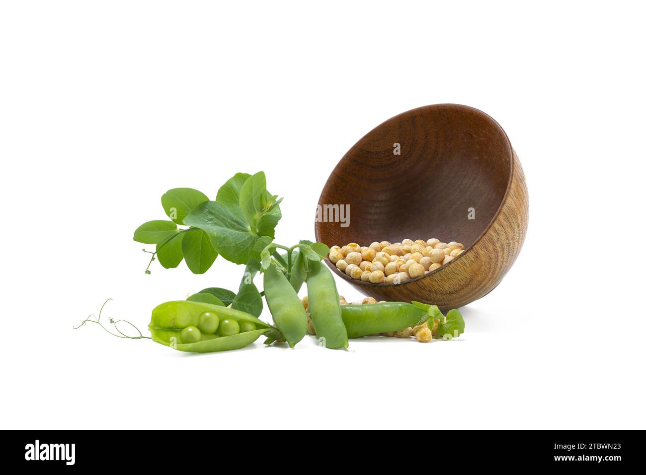 Des pois secs se répande dans un bol rustique et une plante fraîche avec des gousses isolées sur fond blanc Banque D'Images