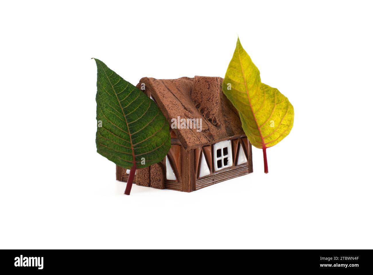 Maison brune entre feuilles vertes et jaunes, concept environnemental sur fond blanc Banque D'Images