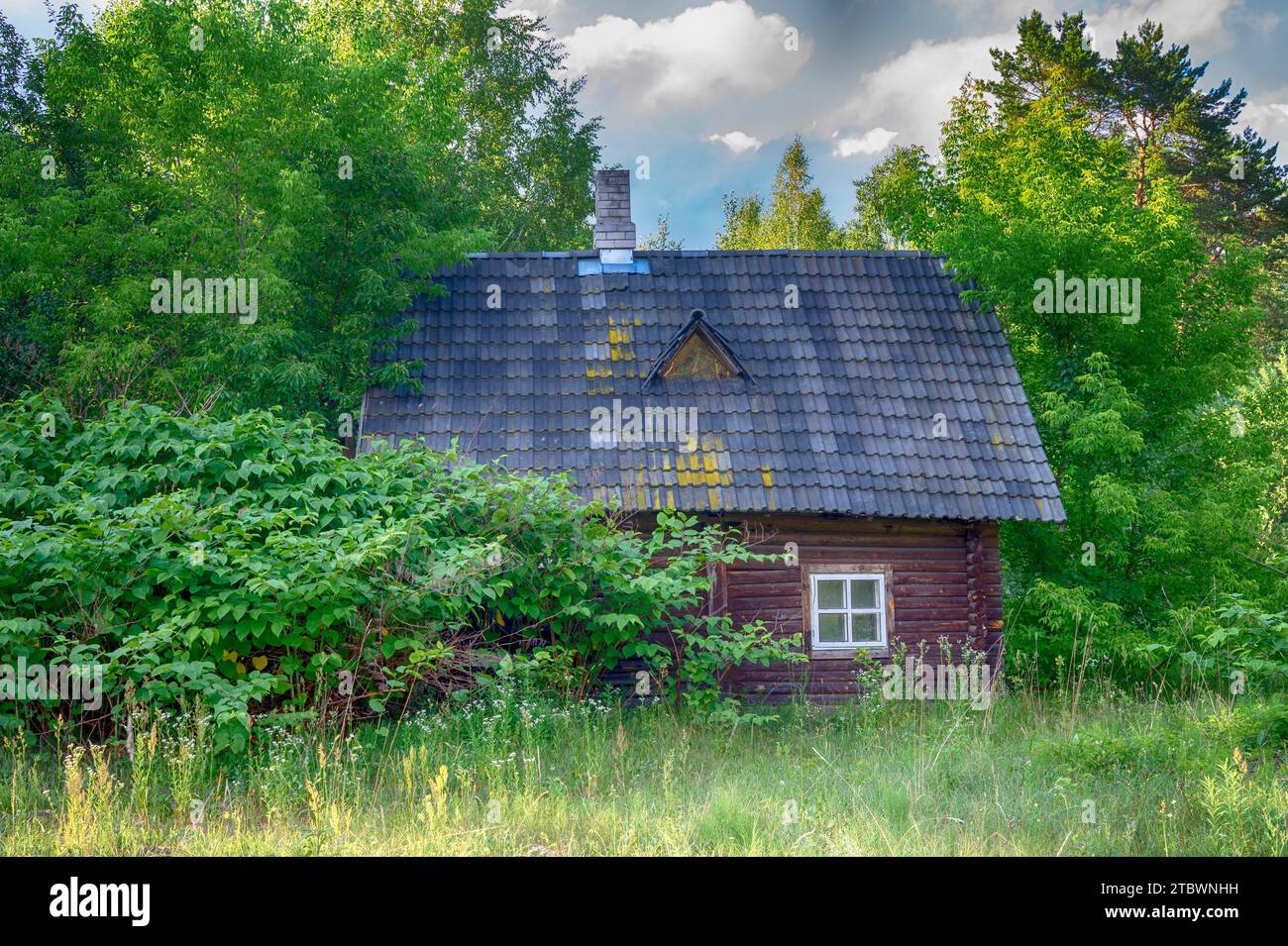 Petite maison de campagne nichée dans les légumes-feuilles arbres en bois avec un champ d'herbe et de la route au premier plan dans un paysage pittoresque Banque D'Images