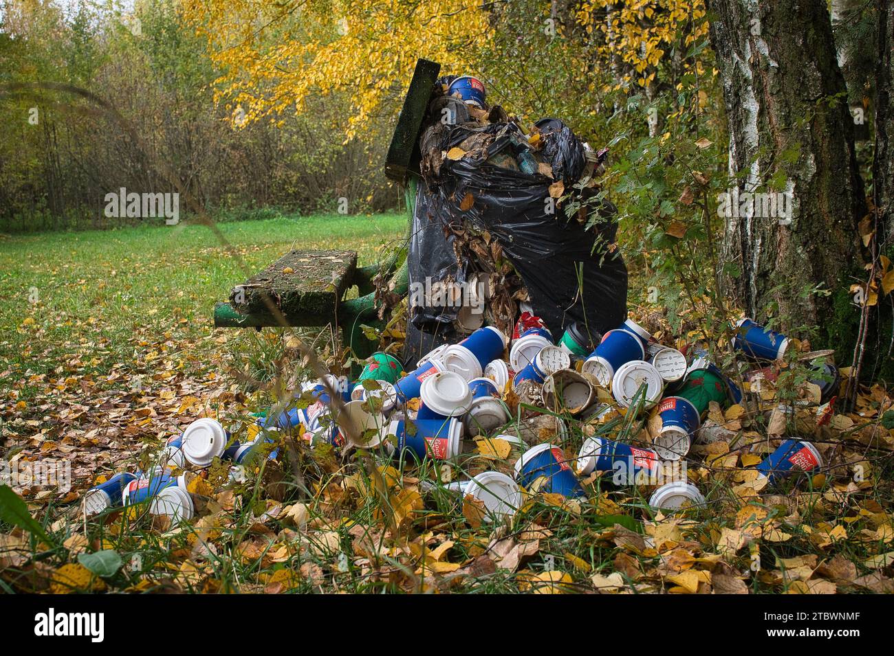 Pile de tasses à café jetables à côté d'un banc en bois rustique dans un peuplement dense de forêt décidue en automne dans un concept de pollution environnementale Banque D'Images