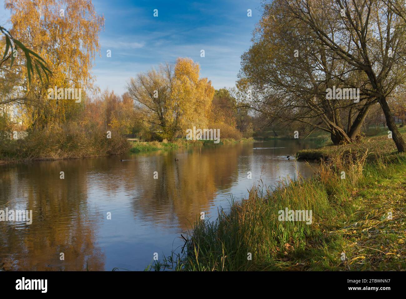 Début de saison automne lac idyllique réflexions de feuillage d'automne. Feuillage automne coloré jette son reflet sur les eaux calmes Banque D'Images