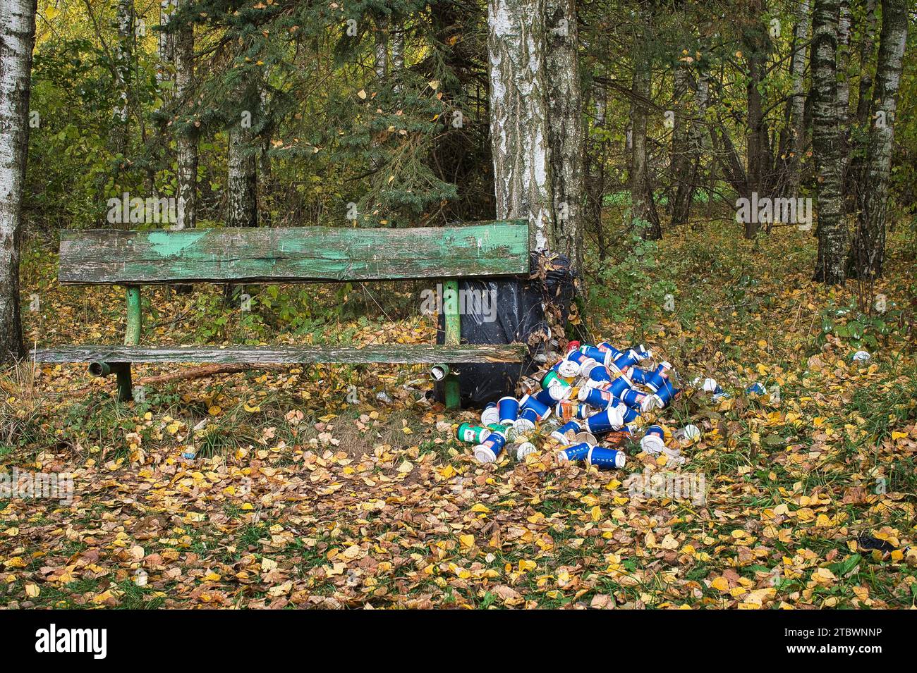 Pile de canettes et de conteneurs à côté d'un banc en bois rustique dans un peuplement dense de forêt décidue en automne dans un concept de pollution environnementale Banque D'Images
