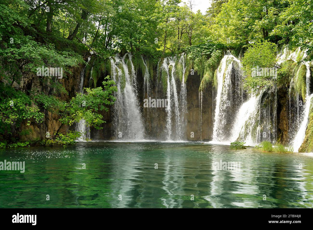 Vue rapprochée des magnifiques chutes d'eau du parc national de Plitvice, Croatie Banque D'Images
