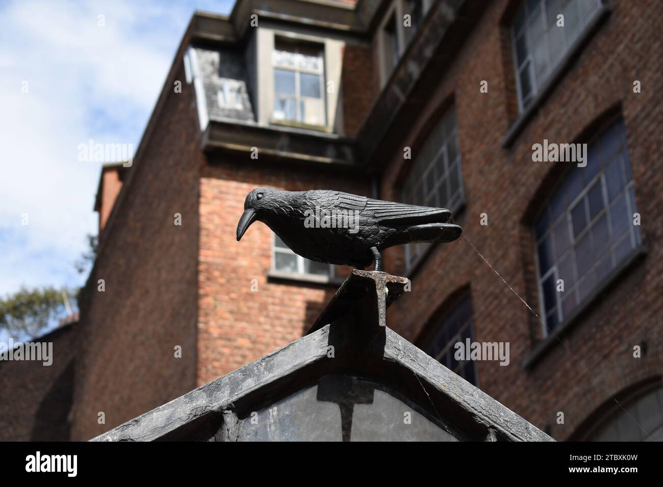 Corbeau en plastique noir assis sur une poutre en métal dans la lumière du soleil avec bâtiment en briques en arrière-plan Banque D'Images