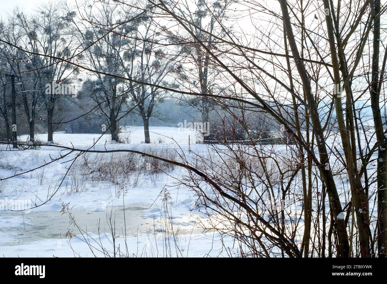 les champs couverts de glace de neige entourent les ruelles rurales zala comté de hongrie Banque D'Images