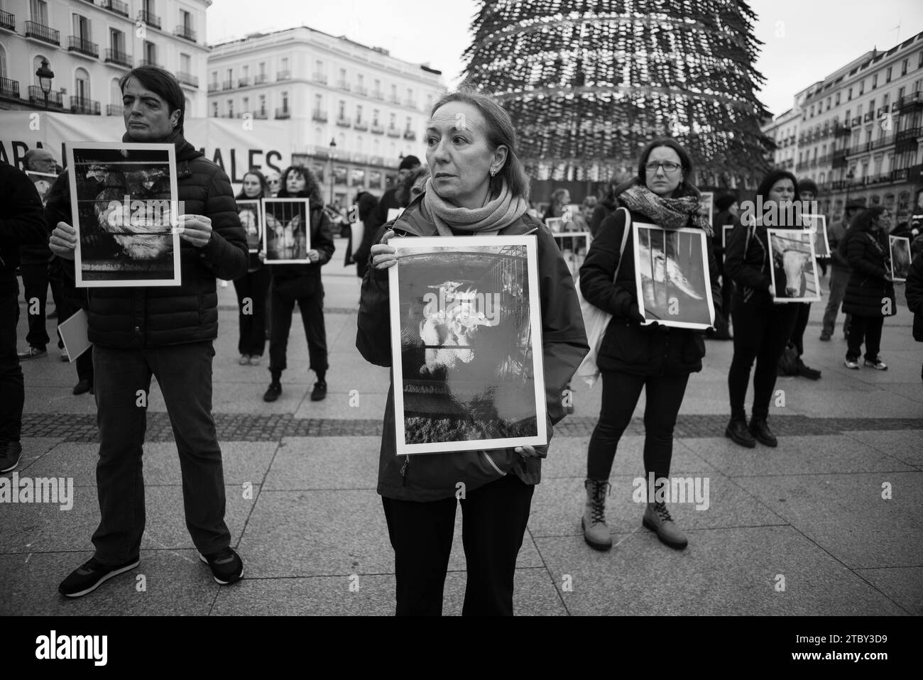 Des dizaines de personnes tiennent des photos d'animaux lors d'une manifestation pour la Journée internationale des droits des animaux à Puerta del sol, le 9 décembre 2023, à Mad Banque D'Images