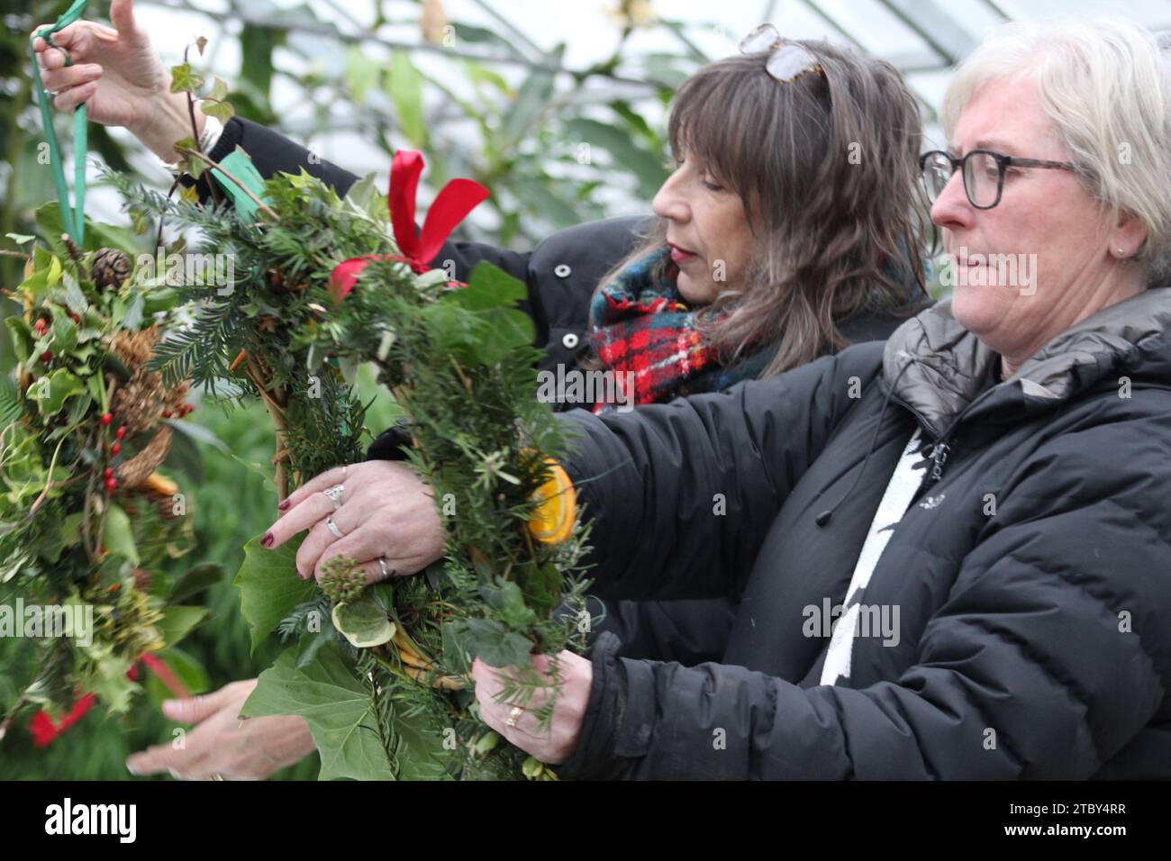 Edimbourg, Royaume-Uni, 9 décembre 2023 : environ 150 personnes ont assisté à une matinée de confection de couronnes de Cnhristmas organisée par les amis de Saughton Park. Photo : DB Media Services / Alamy Live Banque D'Images