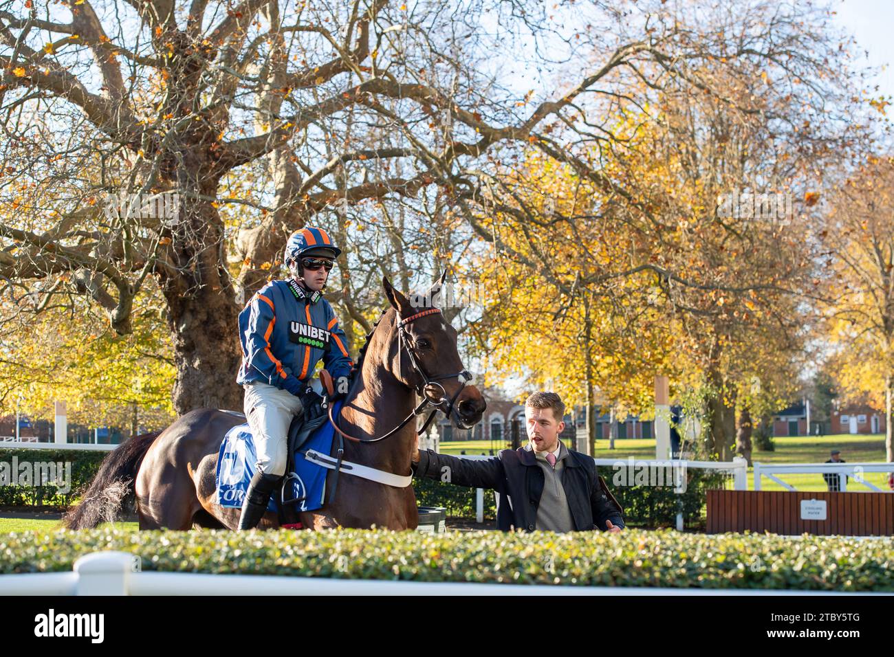 Ascot, Royaume-Uni. 25 novembre 2023. Horse Theatre Glory, monté par le jockey Nico de Boinville, se dirige vers le circuit pour la Coral Hurdle Race lors du November Racing Saturday Meeting à l'hippodrome d'Ascot. Entraîneur Nicky Henderson, Lambourn. Éleveur John Noonan. Sponsor, Unibet. Propriétaire Canter Banter Racing 2. Crédit : Maureen McLean/Alamy Banque D'Images