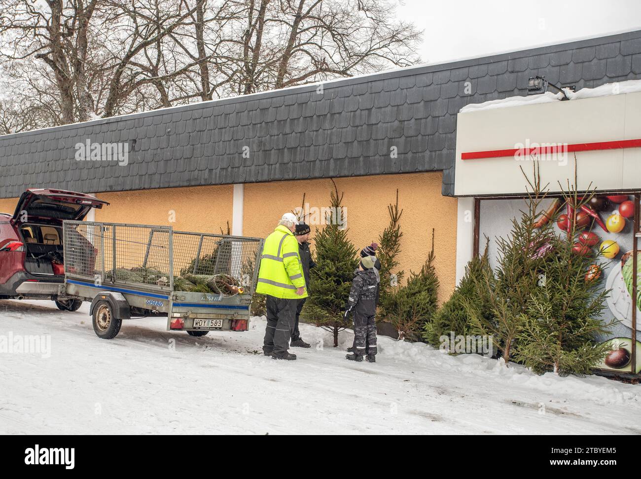 Arbre de Noël à vendre sur la place de Malmkoping, Suède Banque D'Images
