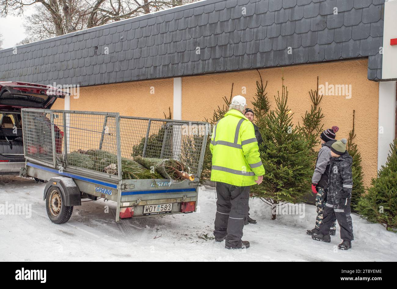 Arbre de Noël à vendre sur la place de Malmkoping, Suède Banque D'Images
