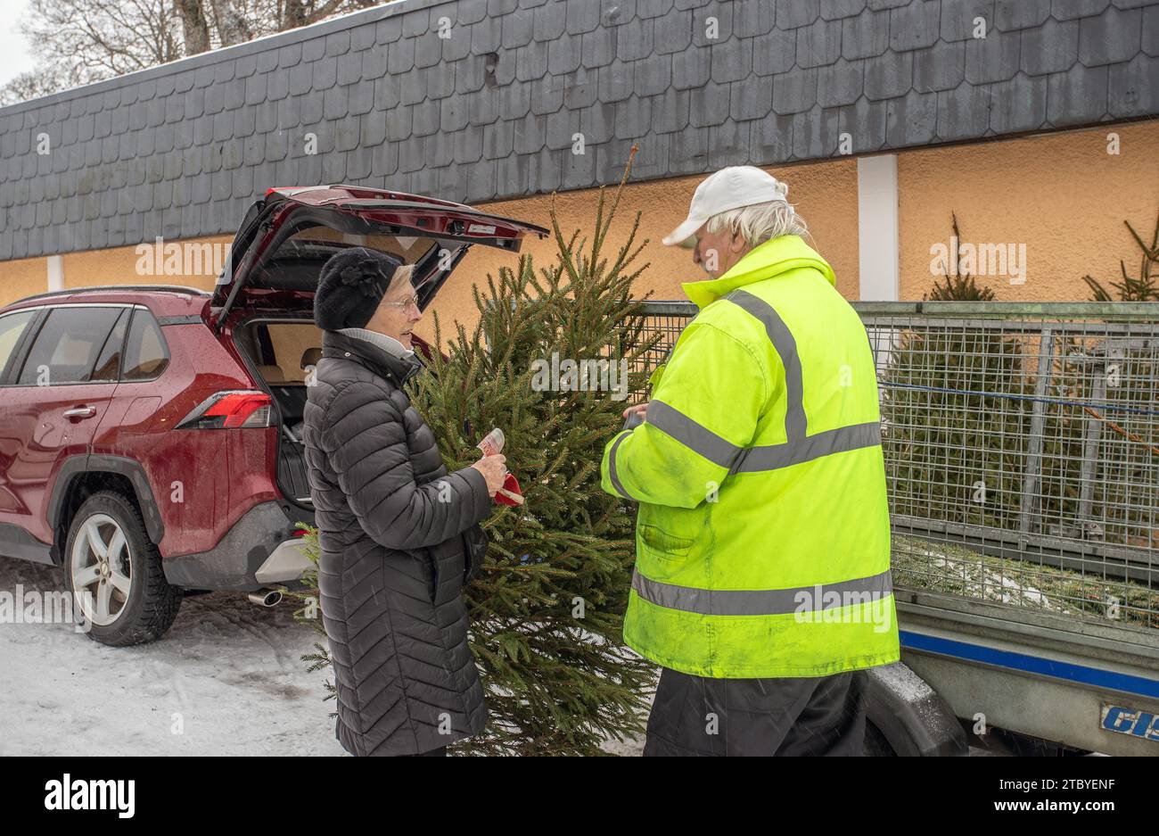 Arbre de Noël à vendre sur la place de Malmkoping, Suède Banque D'Images
