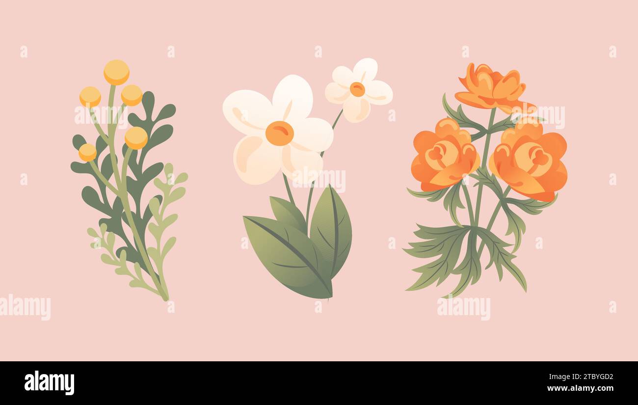 Ensemble de délicates fleurs sauvages printanières. Trollius, immortelle, camomille. Dans le style de dessin animé pour autocollants, affiches, cartes postales, éléments de conception. Illustration de Vecteur