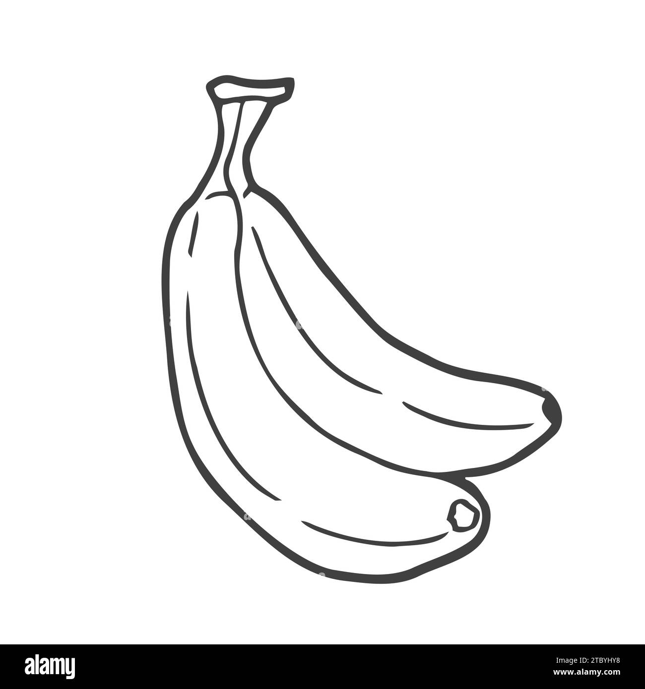 Vector Sketch Set d'illustrations de banane Illustration de Vecteur