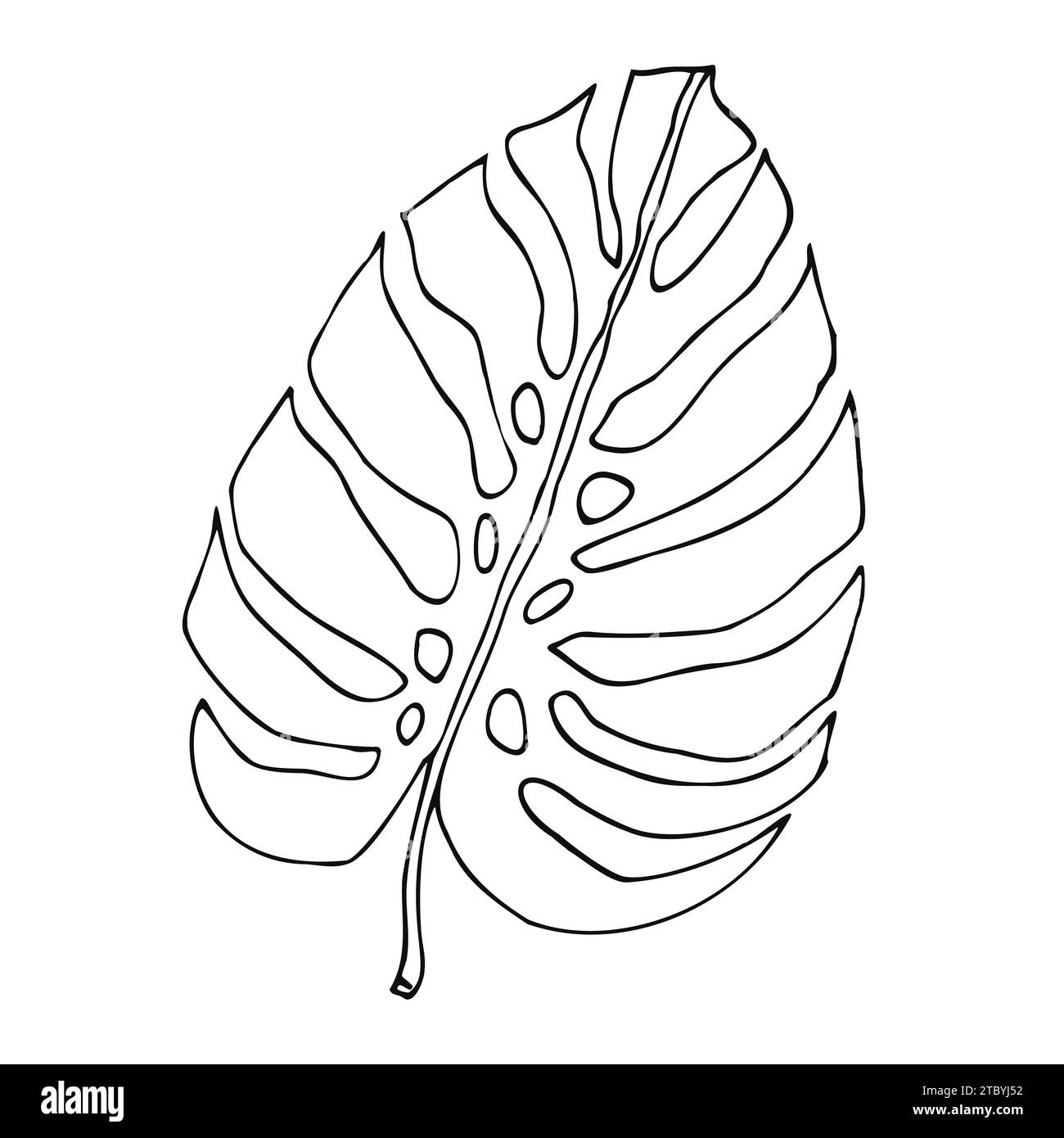 Monstera contour feuilles tropicales, élément de conception de verdure feuilles Monstera, plante de jungle. Line art monstera feuille pour livre de coloriage, logo ou scrapbook d Illustration de Vecteur