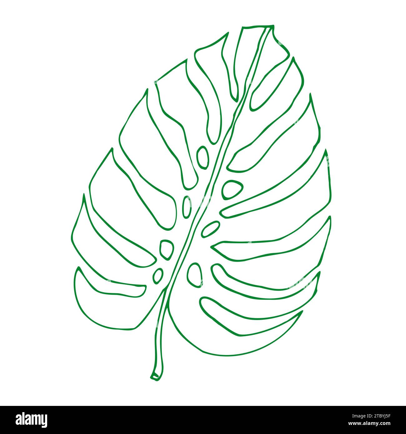 Monstera contour feuilles tropicales, élément de conception de verdure feuilles Monstera, plante de jungle. Line art monstera feuille pour livre de coloriage, logo ou scrapbook d Illustration de Vecteur Monstera contour feuilles tropicales, élément de conception de verdure feuilles Monstera, plante de jungle. Line art monstera feuille pour livre de coloriage, logo ou scrapbook d Illustration de Vecteur
