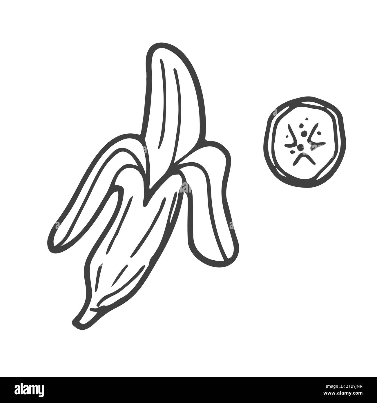 Banane fruit, bouquet. Nutrition biologique alimentation saine. Illustration lucuma vectorielle rétro dessinée à la main gravée. Banane isolée Illustration de Vecteur