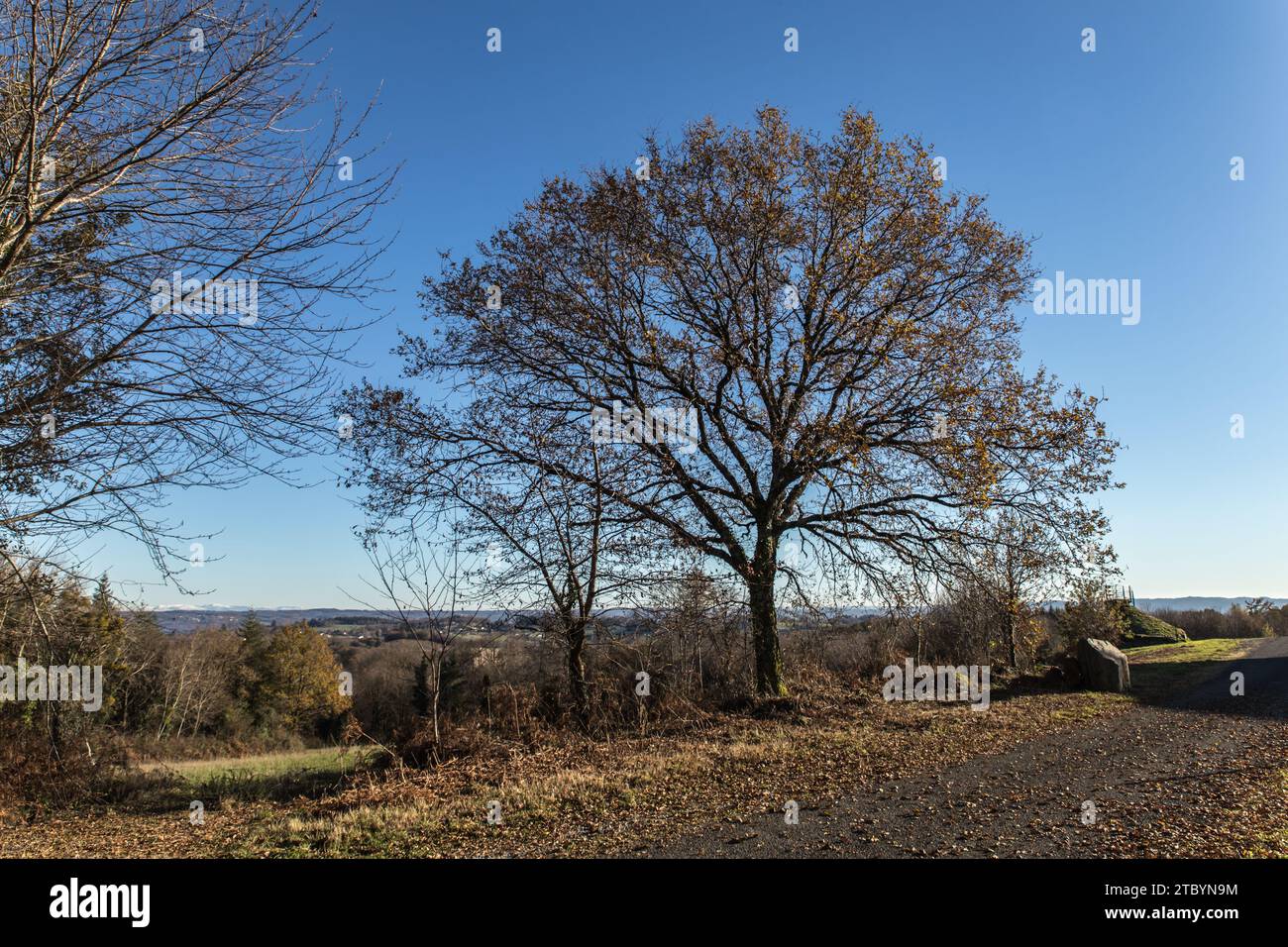 Panorama du Puy des Ferrières sur les monts d'Auvergne Banque D'Images