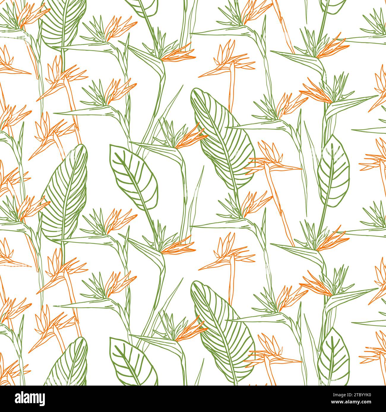 Oiseau de paradis fleur tropical strelitzia floral sans couture motif avec des couleurs vertes et orange. Fond vectoriel pour impressions, tissu, papiers peints, wr Illustration de Vecteur