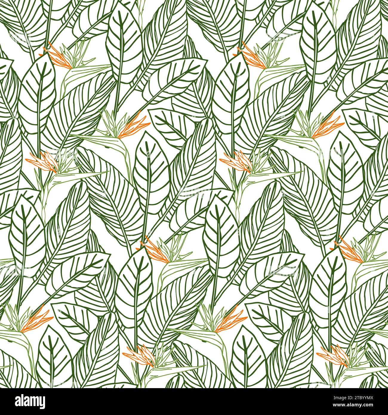 Oiseau de paradis fleur tropical strelitzia floral sans couture motif avec des couleurs vertes et orange. Fond vectoriel pour impressions, tissu, papiers peints, wr Illustration de Vecteur