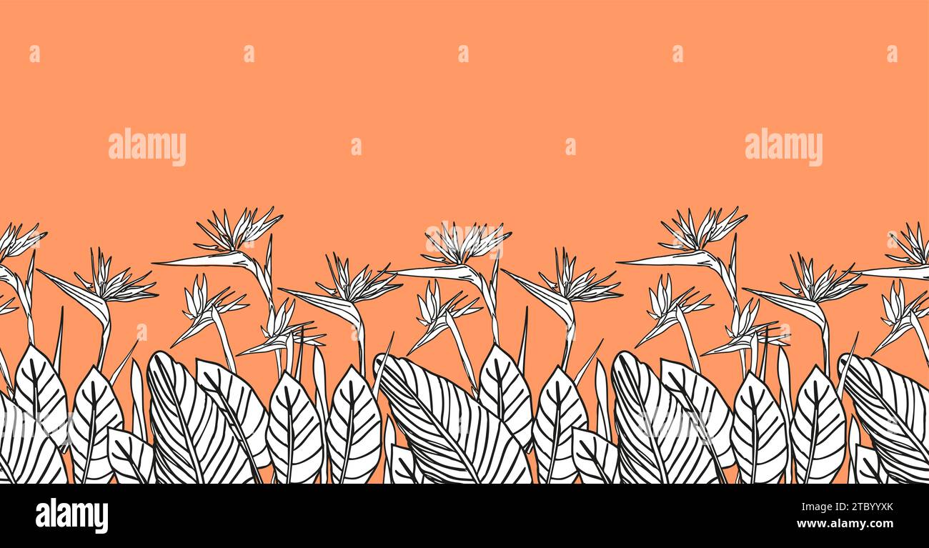 Oiseau de paradis fleur, line art tropical strelitzia floral sans couture modèle border noir et blanc et orange couleur. Fond vectoriel pour impressions, Illustration de Vecteur