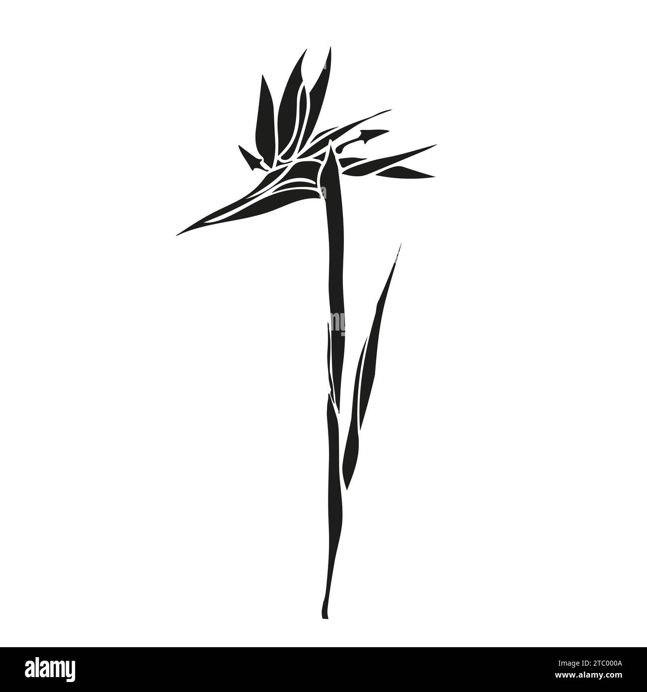 Oiseau de paradis fleur tropicale strelitzia avec feuilles silhouette pour la conception de carte ou invitation, scrapbook. Illustration dessinée à la main de vecteur, isoler Illustration de Vecteur
