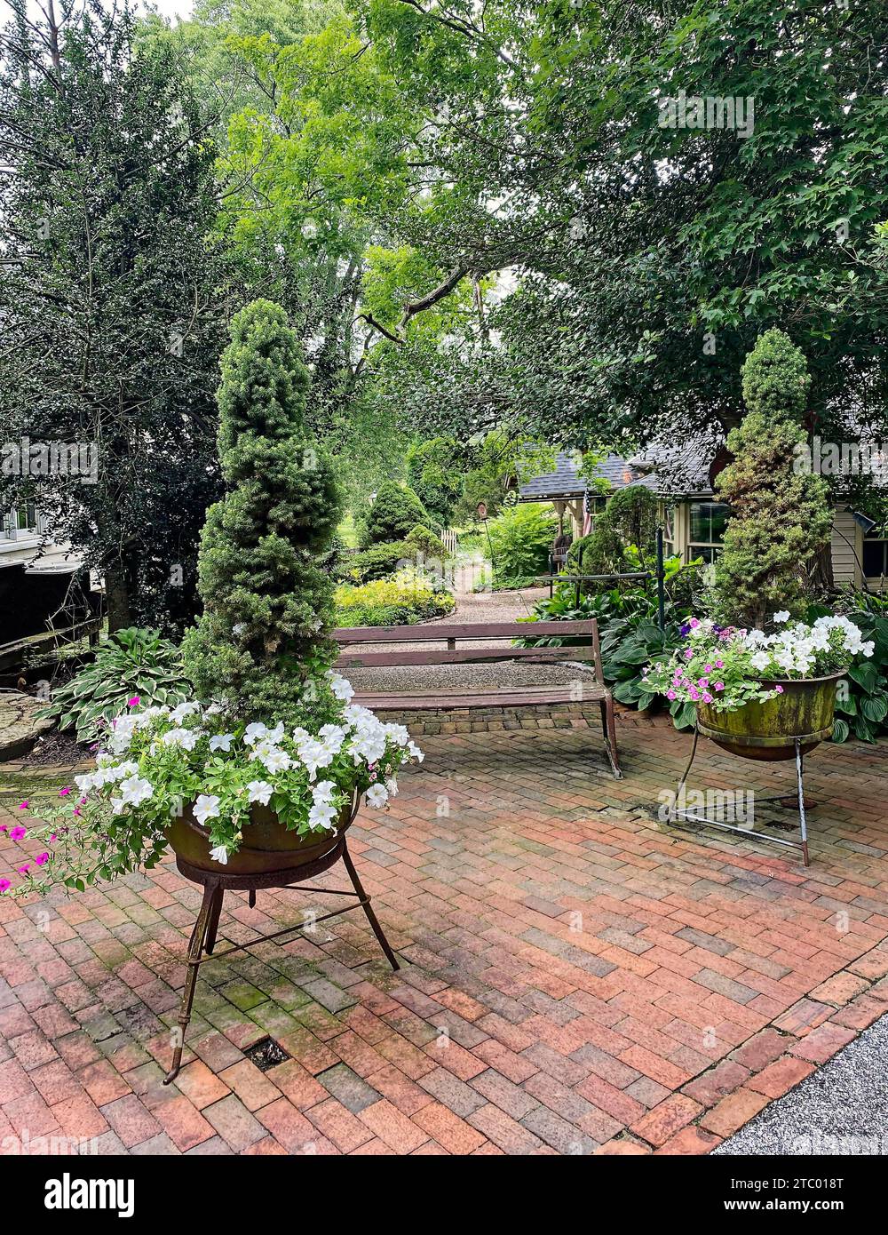 scène de jardin, 2 plantes en pot, fleurs blanches, arbustes à feuilles persistantes, brique, vieux banc, arbres, tranquille, Pennsylvanie, PR, été Banque D'Images