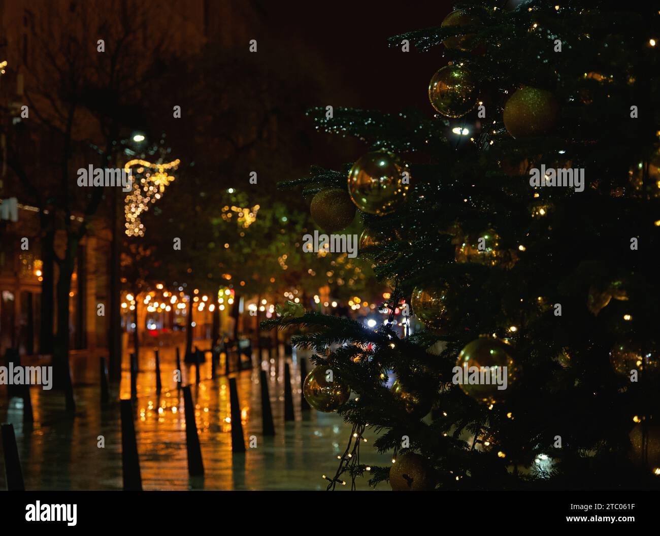 Budapest, Hongrie : arbre de Noël près de l'Université Eotvos Lorand, rue Egyetem. Banque D'Images