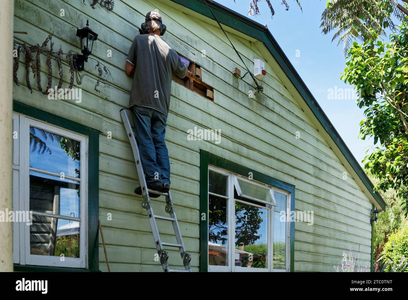 Propriétaire d'une maison sur une échelle réparant des panneaux d'étanchéité pourris, rénovant et entretenant une vieille villa ou bungalow Kiwi en bois. Aotearoa / Nouvelle-Zélande. Banque D'Images