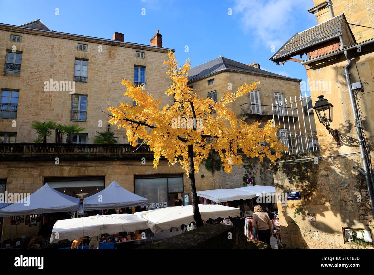 Un arbre Ginkgo biloba à la couleur automnale dans la rue principale de Sarlat, capitale du Périgord Noir. Ginkgo biloba est une espèce d'arbre qui peut vivre un Banque D'Images