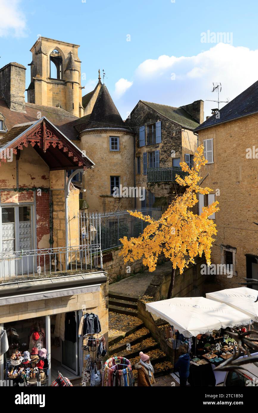 Un arbre Ginkgo biloba à la couleur automnale dans la rue principale de Sarlat, capitale du Périgord Noir. Ginkgo biloba est une espèce d'arbre qui peut vivre un Banque D'Images