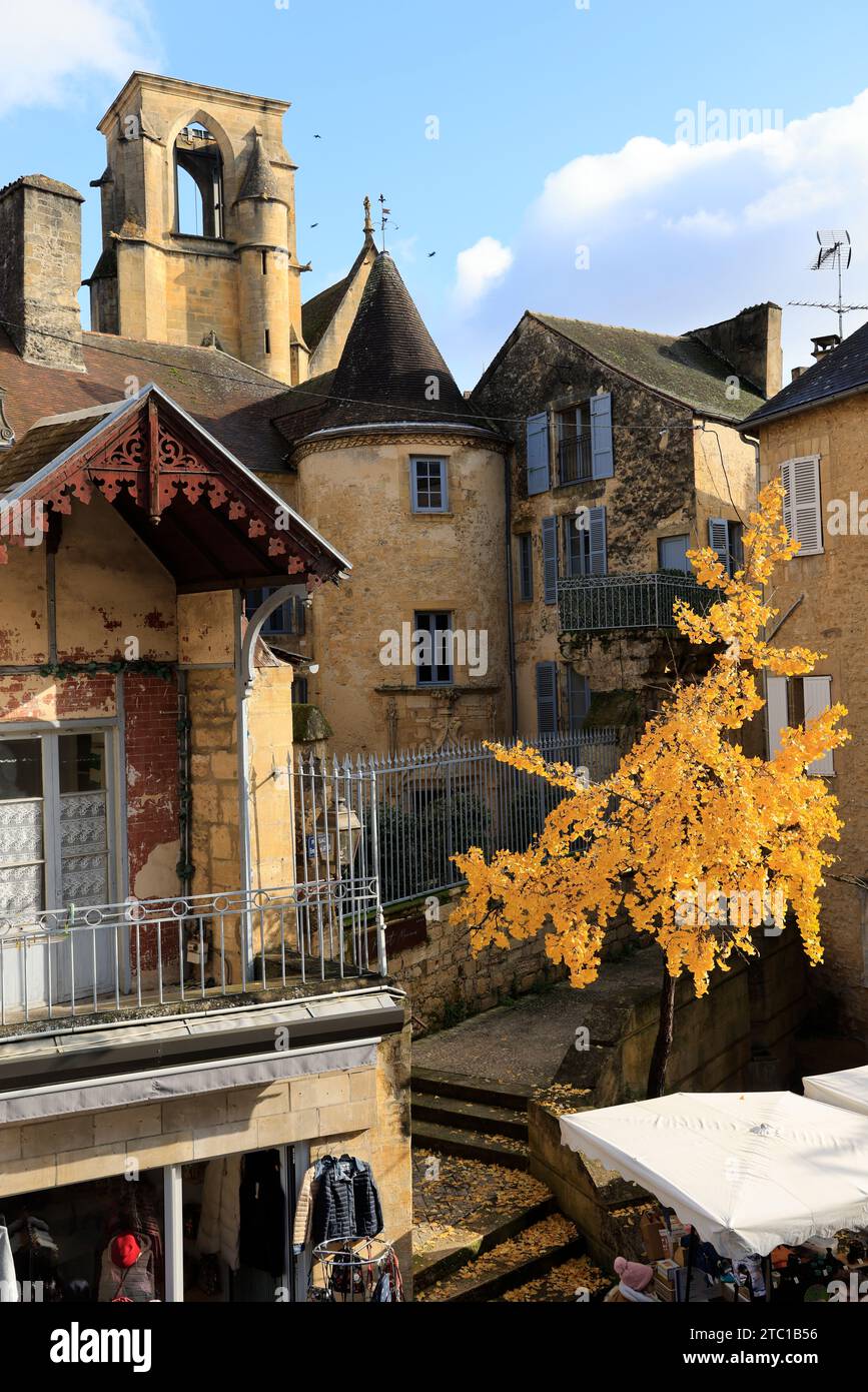 Un arbre Ginkgo biloba à la couleur automnale dans la rue principale de Sarlat, capitale du Périgord Noir. Ginkgo biloba est une espèce d'arbre qui peut vivre un Banque D'Images