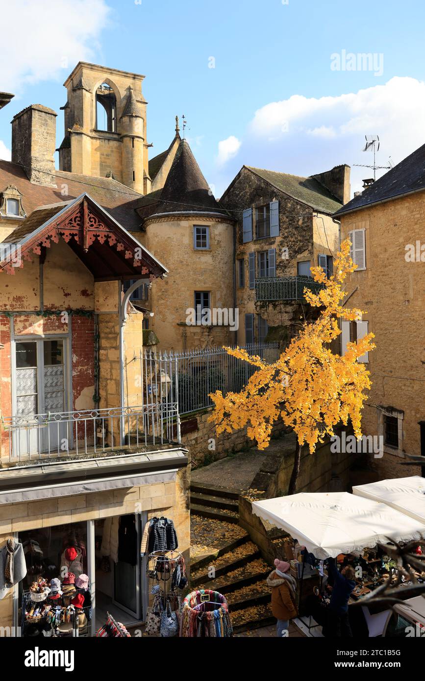 Un arbre Ginkgo biloba à la couleur automnale dans la rue principale de Sarlat, capitale du Périgord Noir. Ginkgo biloba est une espèce d'arbre qui peut vivre un Banque D'Images