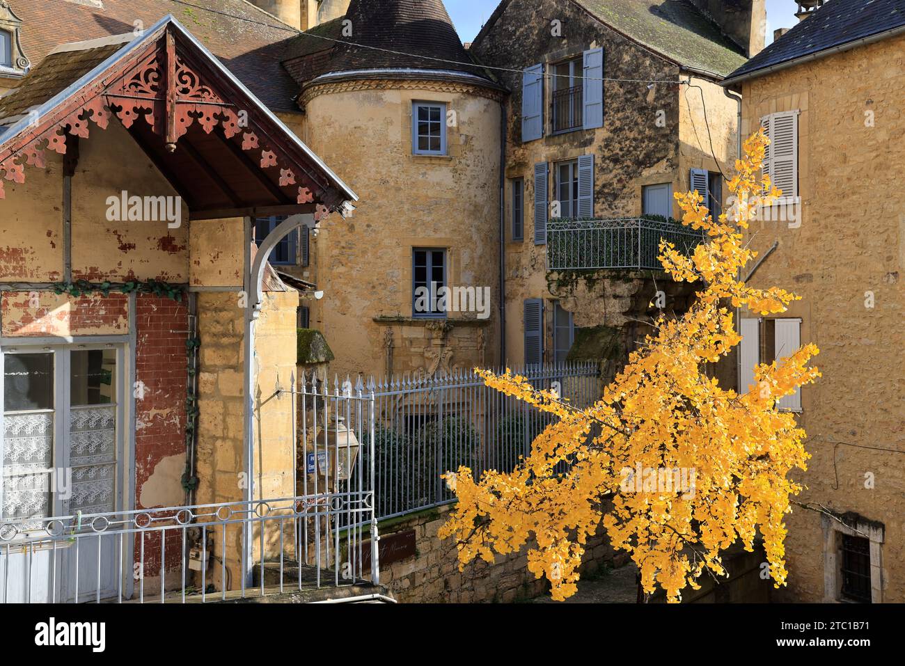 Un arbre Ginkgo biloba à la couleur automnale dans la rue principale de Sarlat, capitale du Périgord Noir. Ginkgo biloba est une espèce d'arbre qui peut vivre un Banque D'Images