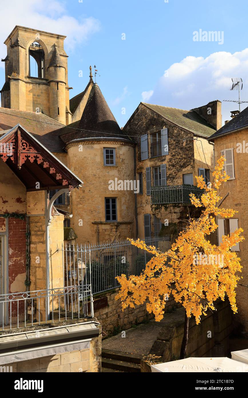Un arbre Ginkgo biloba à la couleur automnale dans la rue principale de Sarlat, capitale du Périgord Noir. Ginkgo biloba est une espèce d'arbre qui peut vivre un Banque D'Images