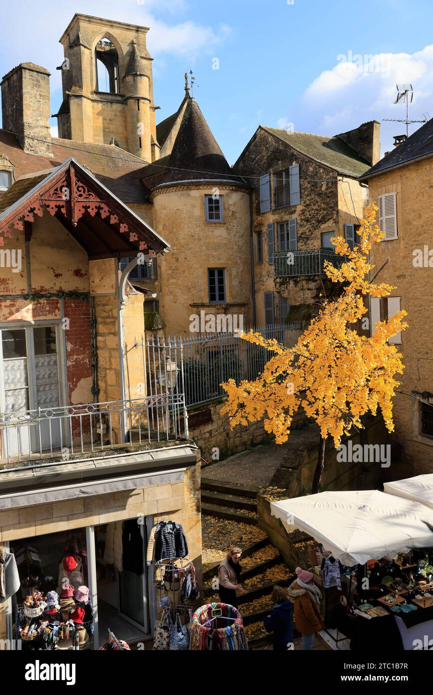 Un arbre Ginkgo biloba à la couleur automnale dans la rue principale de Sarlat, capitale du Périgord Noir. Ginkgo biloba est une espèce d'arbre qui peut vivre un Banque D'Images