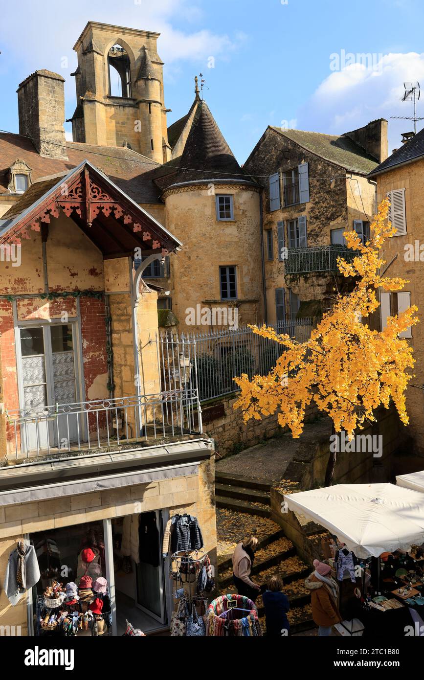 Un arbre Ginkgo biloba à la couleur automnale dans la rue principale de Sarlat, capitale du Périgord Noir. Ginkgo biloba est une espèce d'arbre qui peut vivre un Banque D'Images