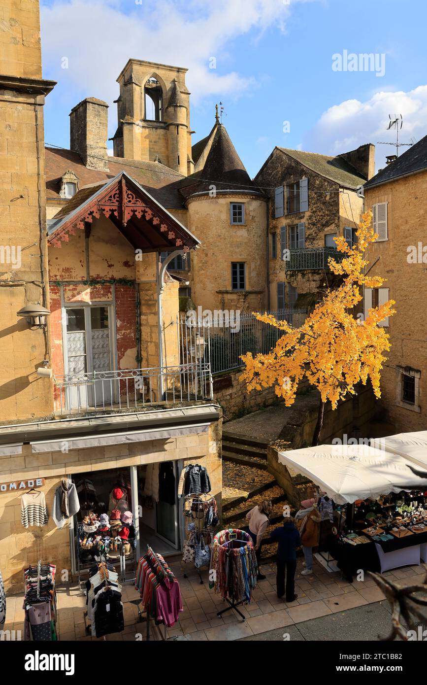 Un arbre Ginkgo biloba à la couleur automnale dans la rue principale de Sarlat, capitale du Périgord Noir. Ginkgo biloba est une espèce d'arbre qui peut vivre un Banque D'Images