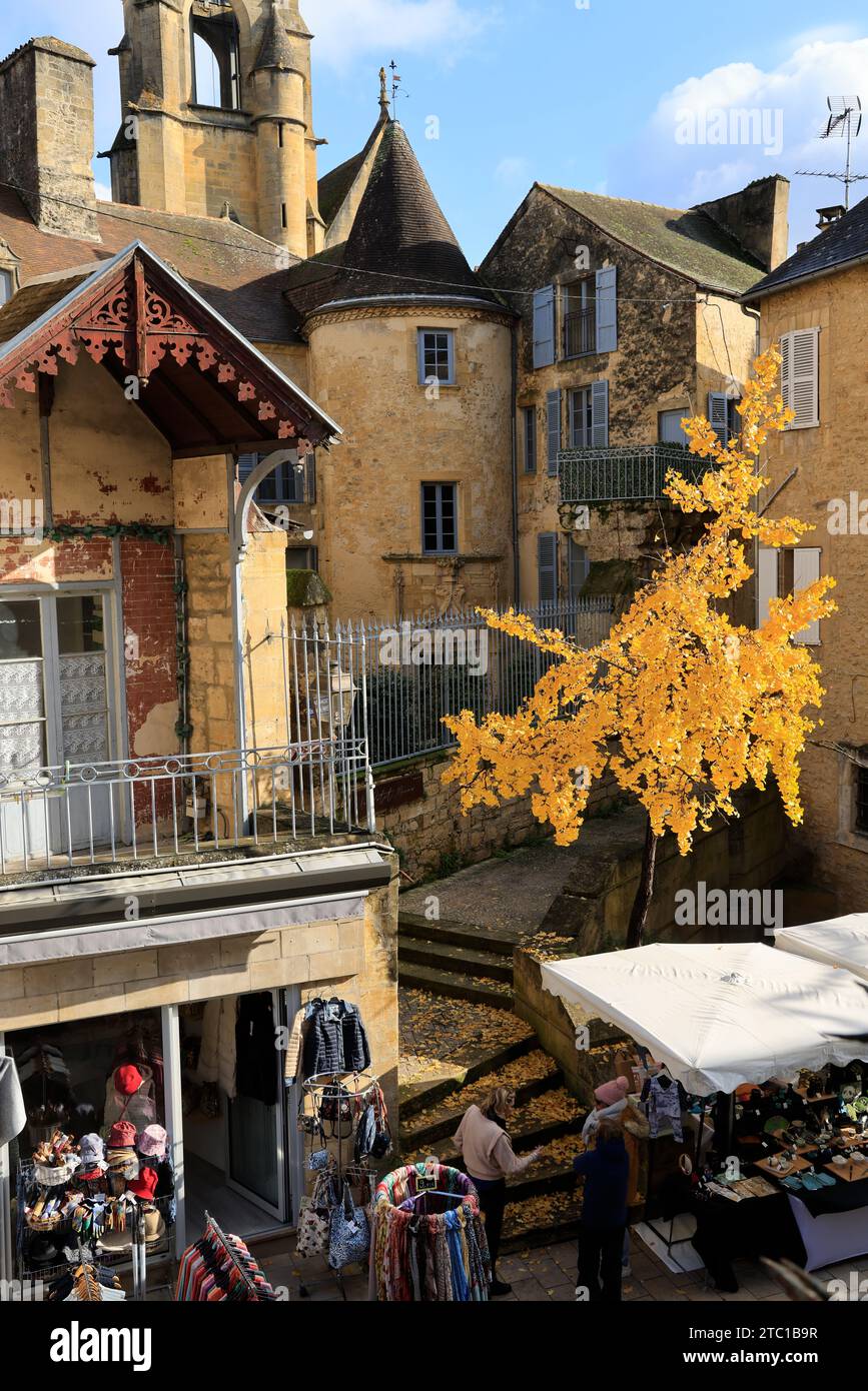 Un arbre Ginkgo biloba à la couleur automnale dans la rue principale de Sarlat, capitale du Périgord Noir. Ginkgo biloba est une espèce d'arbre qui peut vivre un Banque D'Images