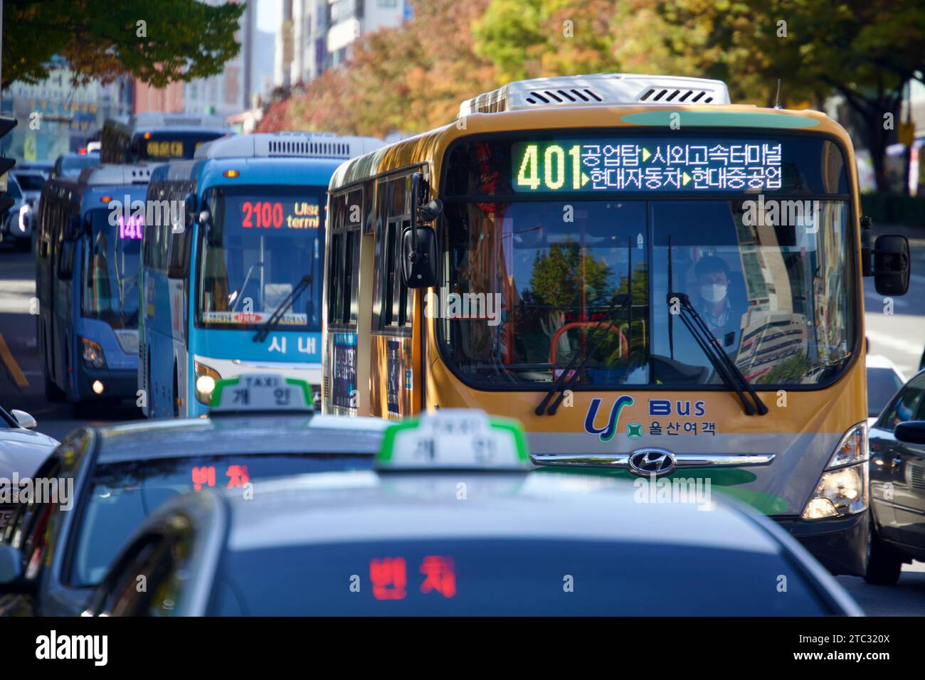 Une gamme soignée de bus urbains à Ulsan, capturée dans un moment de synchronicité urbaine, reflétant l'efficacité des transports publics de la ville. Banque D'Images