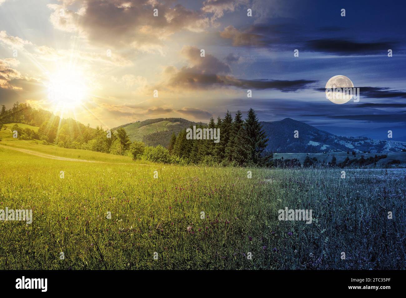 concept de changement de jour et de nuit. forêt de conifères derrière la prairie avec soleil et lune sur le ciel au crépuscule. beau paysage de campagne dans morn Banque D'Images